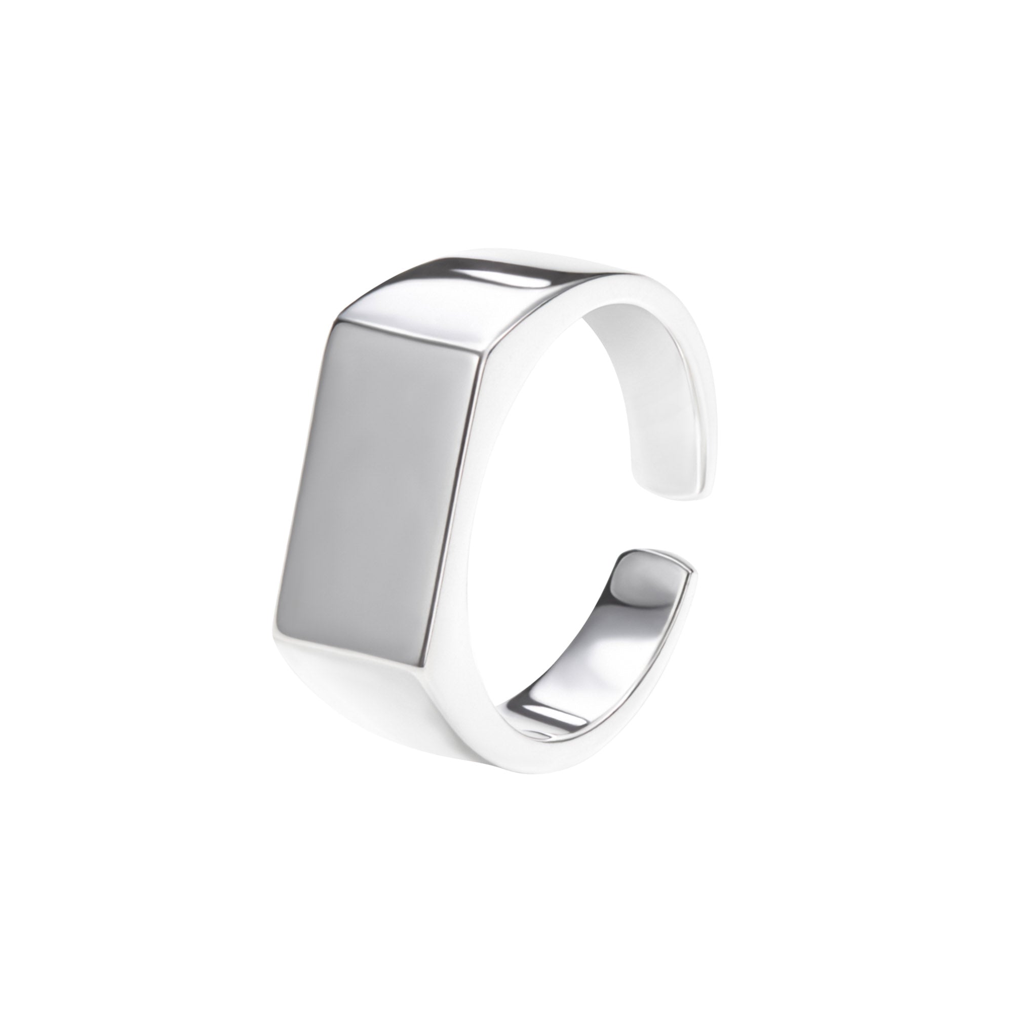 Signet ring ✘ Lot ring - 925 silver